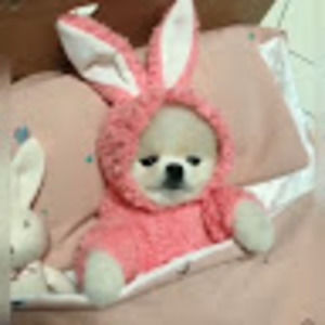 Meet your Posher, Tae oh